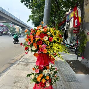 Cây Hoa Khai Trương Chúc Mừng 3