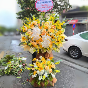 Cây Hoa Khai Trương Vàng Kim Sang Trọng