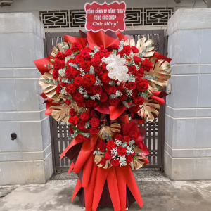 Cây Hoa Chúc Mừng Đỏ Rực