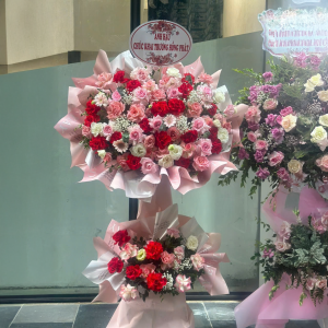 Cây Hoa Khai Trương Phát Lộc