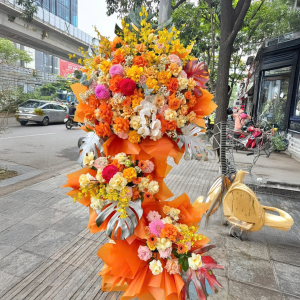 Cây Hoa Khai Trương Phát Lộc 2